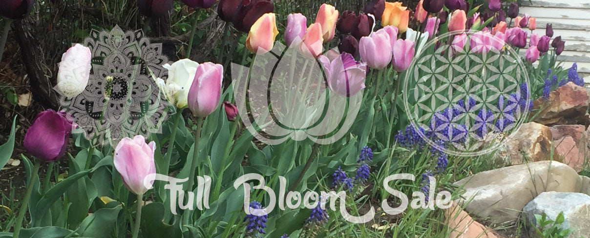 Full Bloom Sale
