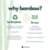 Bamboo Flow Pant - Zen