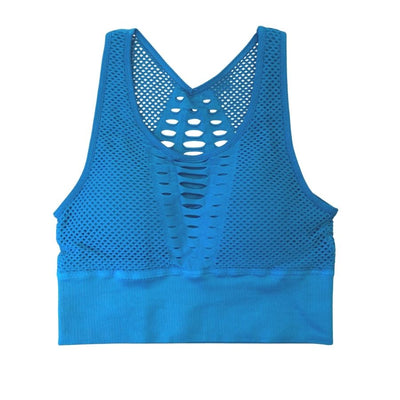 Warrior Bra ~ Cyan